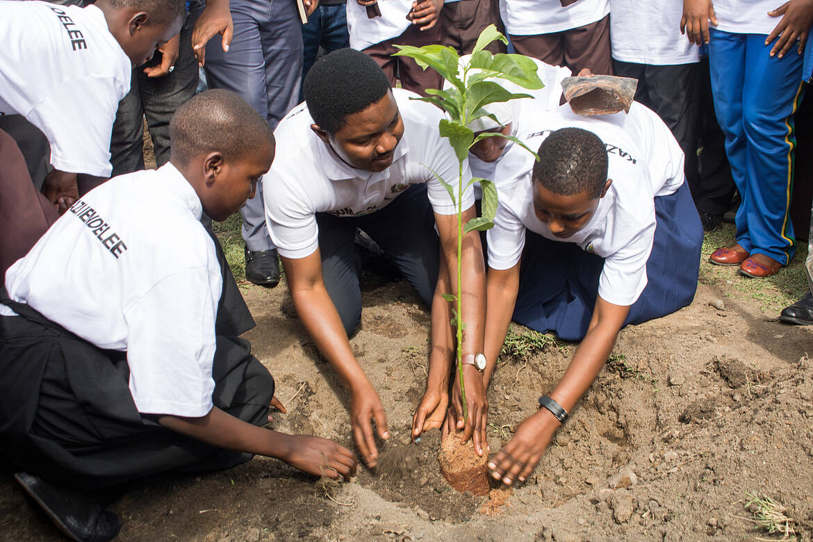 Tree planting event